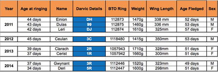 MWT - Dyfi chick info, 2011-2014