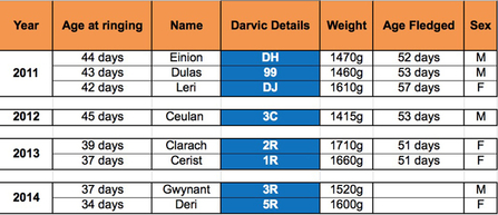 MWT - Dyfi chick stats, 2011-2014 (as of ringing)