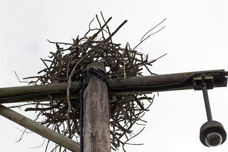 © MWT. Monty's Shed, 2013. Dyfi Osprey Project