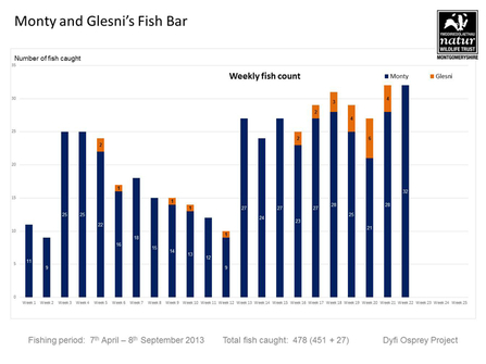 © MWT - Monty & Glesni's Fish Bar, 7th Apr-8th Sep, 2013