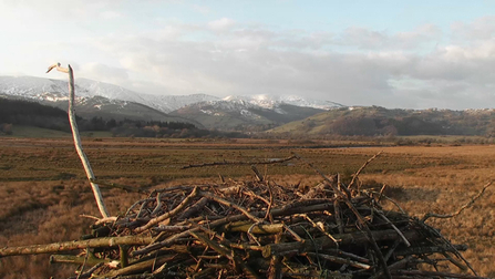© MWT. Dyfi Osprey Project nest and Dyfi valley panorama.
