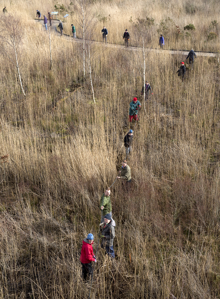 MWT - Mini-Pull 2016, electrical cable pulled to the Observatory