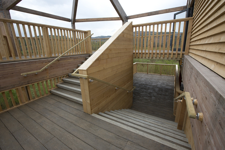 MWT - 360 Observatory outdoor staircase, Dyfi Osprey Project