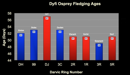 MWT - DOP chicks fledging ages