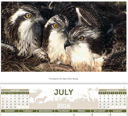 MWT - 2016 calendar month