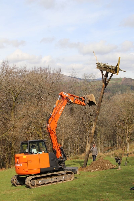 MWT - Second nest platform near Dyfi