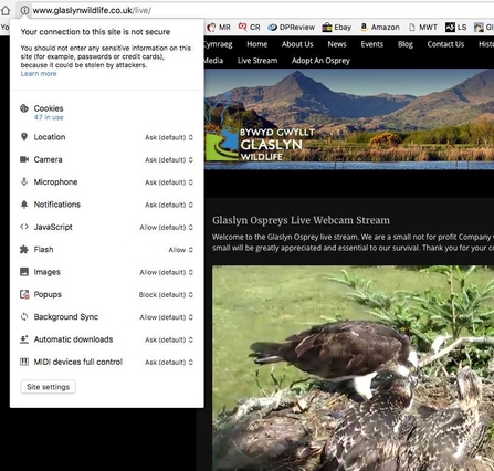 Glaslyn website fixing flash problem