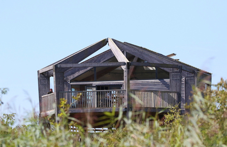 © MWT. 360 Observatory, Dyfi Osprey Project