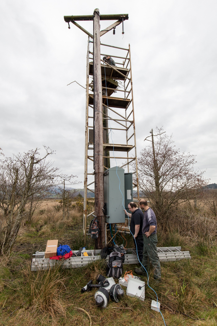 MWT - Dyfi Osprey Project nest and cam installation 2017