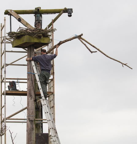 MWT - Installing the new nest perch 2017