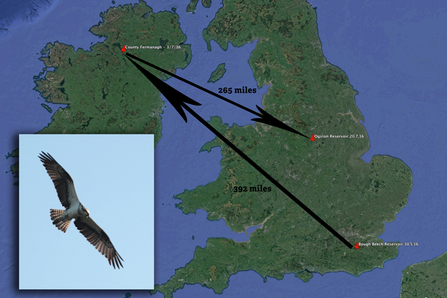 Blue 9R sightings map, 2016