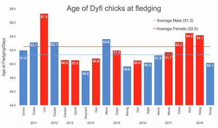 MWT - Age of Dyfi chicks at fledging 2011-2018
