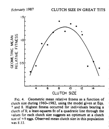 Boyce & Perrins - Clutch Size in Great Tits