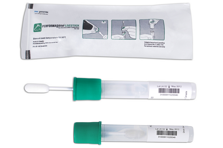 DNA swab, buccal swab 