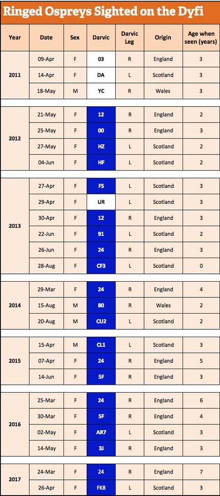 MWT - Ringed ospreys sighted on Dyfi, 2011 - April 2017