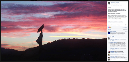 Dyfi Osprey Project Facebook page 2016