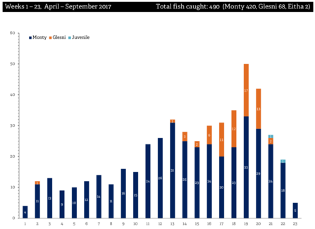 MWT - Fish Stats Weeks 1-23, April - September 2017
