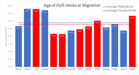 MWT - Age of Dyfi Chicks at Migration, 2011 - Menai 2017
