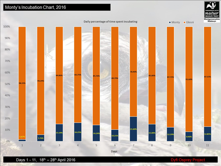 MWT - Monty's Incubation Chart, 2016