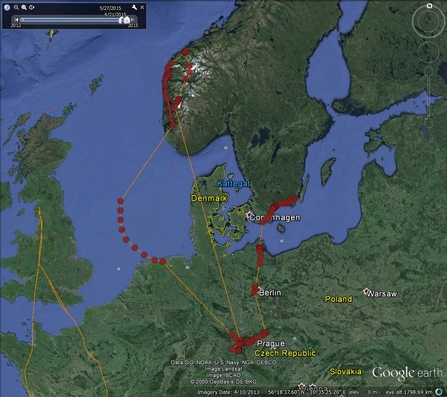 Google map of No 14 - Lake District Osprey Project, locations