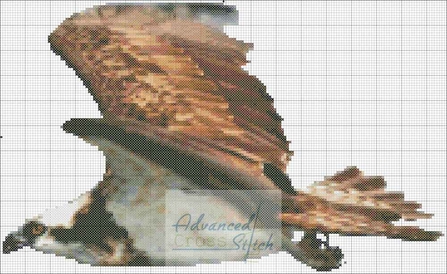 Osprey cross-stitch pattern