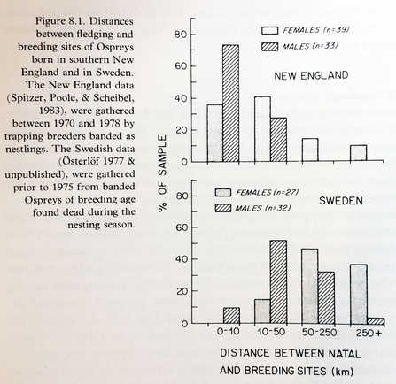 © Alan Poole - Distance between natal and breeding sites, p.138, Ospreys: A Natural and Unatural History