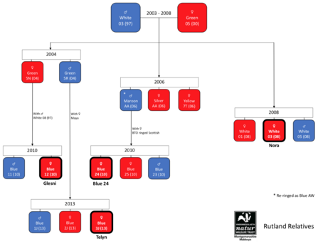 MWT - Rutland Relatives