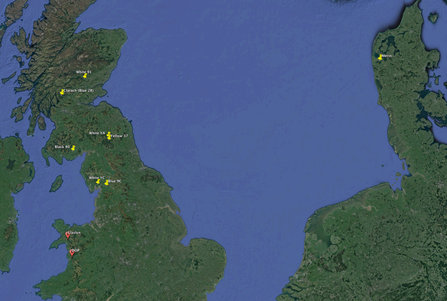 Map showing past/present breeding locations of Welsh offspring, May 2018