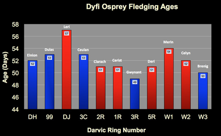 MWT - Fledging Ages graph, 2011-2015