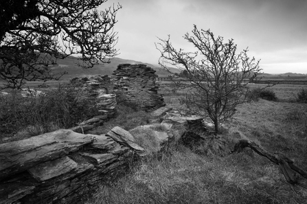 Tŷ Maenan ruins by Dyfi river 