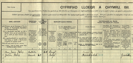 1911 Census record, John Felix