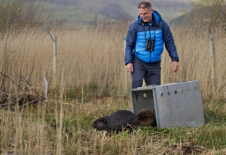 Releasing the father and son beavers March 2021