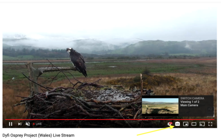 YouTube DOP screenshot of switch camera function