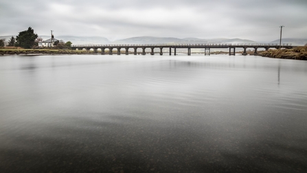 © MWT - Dyfi river, Glandyfi bridge