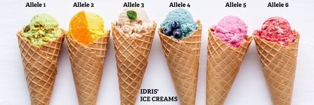 Idris' ice cream alleles - DNA research