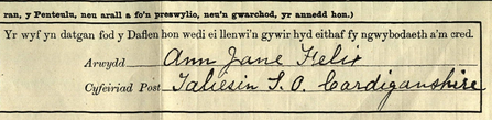 1911 Census record, Ann Felix