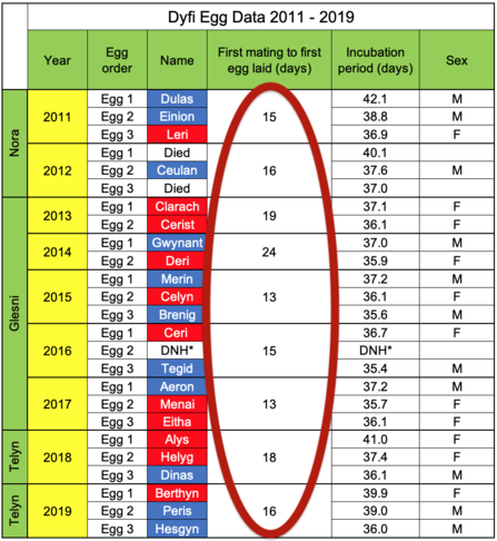 Quick-time Egg  An osprey couple take around two weeks from first mating to first egg, a bit longer usually if one or both of the birds are new to each other, as is the case this year.  But not these two. Telyn laid this egg just 11.5 days after Idris soared into her life; that's pretty quick going. It's also the earliest 1st mating to 1st egg we've ever recorded on this Dyfi nest.  All previous timescales circled in red, below: