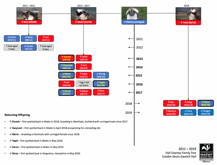 Dyfi Family Tree 2011-2019