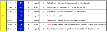 Intruders identified on the Dyfi nest as of May 21st 2020