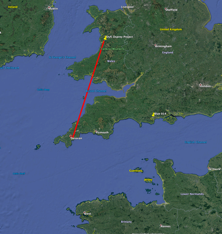 Map showing location of Tywi spotted in Cornwall after migrating September 2020