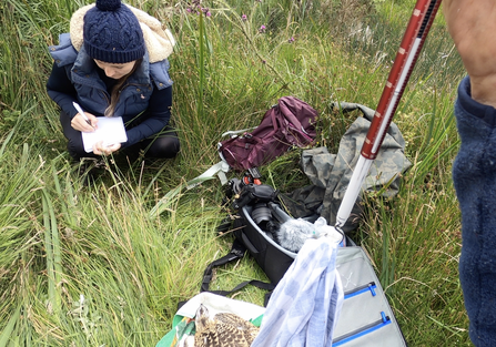 Recording data at 2020 Tywi and Teifi ringing