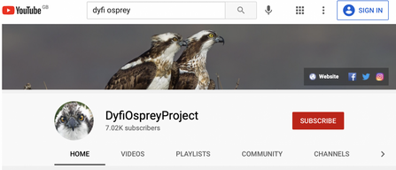 YouTube DOP page March 2021