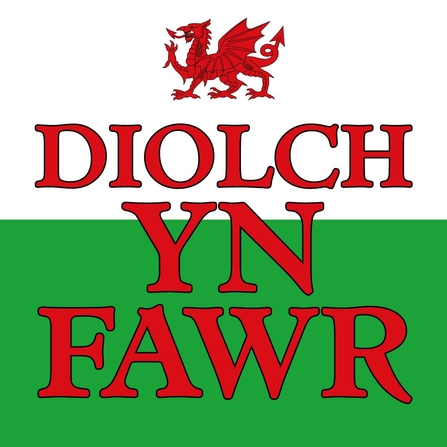 Diolch Yn Fawr