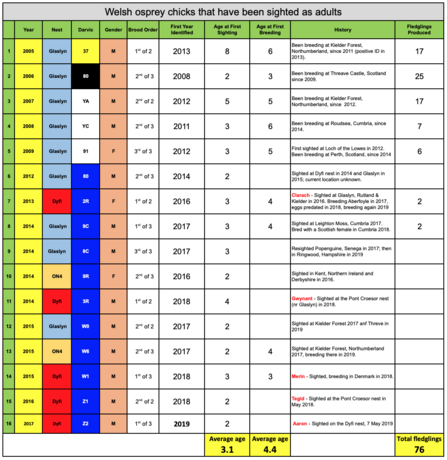 Welsh osprey chicks that have been sighted as adults 2005-2017