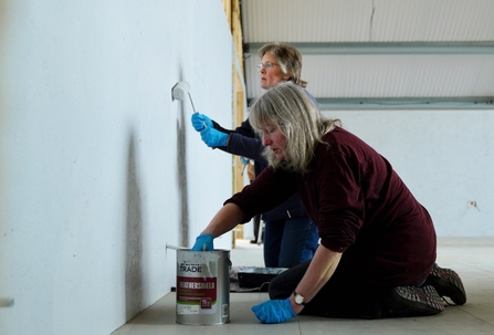 Painting interior of the Dyfi Wildlife Centre