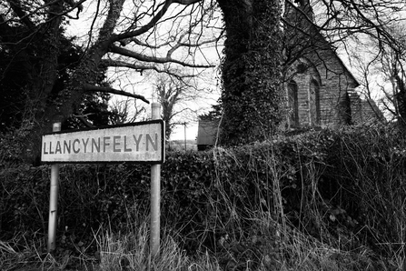 Llancynfelin