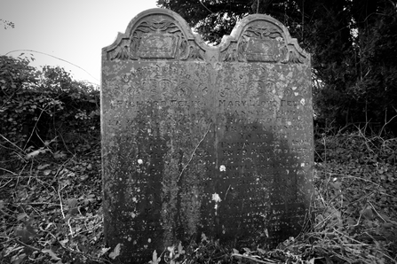 Grave of Richard Felix and Mary Lloyd Felix, parents of John Felix