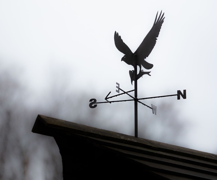 MWT - DOP weather vane