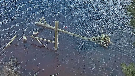 Llyn Brenig nest cut down in middle of night