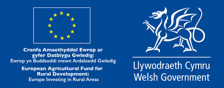 Welsh Government